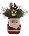 Flora Bunda Xmas Mix In Santa Ceramic Pot In Multi