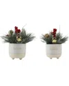 Flora Bunda Xmas Mix In Set Of 2 Falala & Believe Ceramic Pot In Ivory