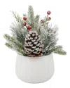 Flora Bunda Xmas Mix In White Sweater Ceramic Pot In White