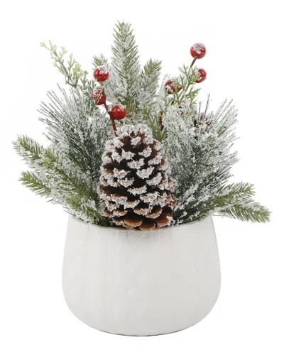 Flora Bunda Xmas Mix In White Sweater Ceramic Pot
