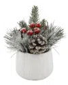 Flora Bunda Xmas Mix In White Sweater Ceramic Pot In White