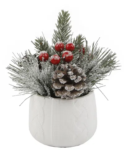 Flora Bunda Xmas Mix In White Sweater Ceramic Pot