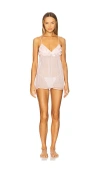 Flora Nikrooz Bellflower Camidoll With Thong In Pink