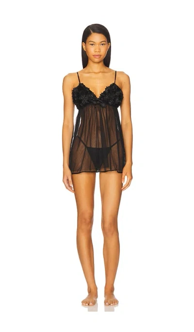 FLORA NIKROOZ BELLFLOWER SLIP