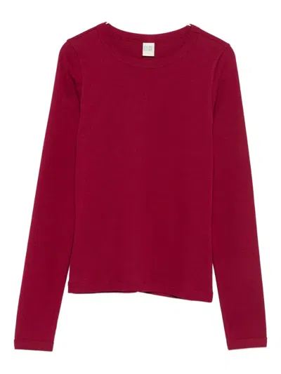 Flore Flore Max Long-sleeve Round-neck T-shirt In Brown