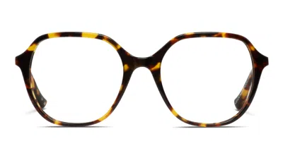Florence By Mills 1023 Tortoise