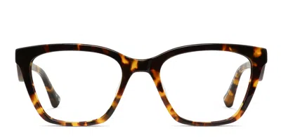 Florence By Mills 1038 Tortoise