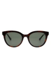 Florence By Mills 51mm Round Sunglasses In Brown