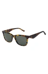 Florence By Mills 51mm Square Sunglasses In Multi