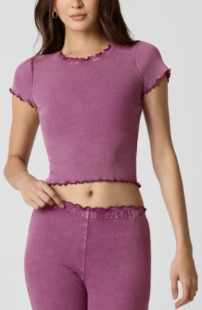 Florence By Mills Core Washed Rib Crop T-shirt In Purple