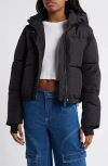 Florence By Mills Hooded Short Puffer Jacket In Black