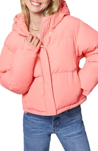 Florence By Mills Hooded Short Puffer Jacket In Strawberry Ice