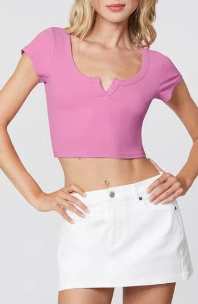 Florence By Mills Rib T-shirt In Purple