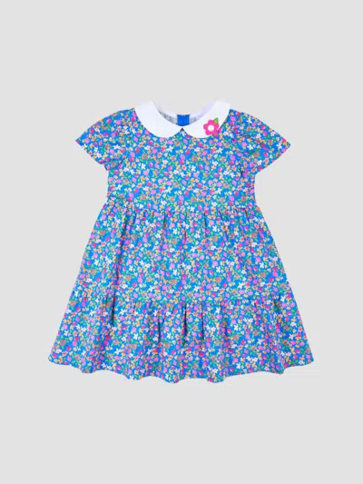 Florence Eiseman Little Girl's & Girl's Floral Collared Dress In Royal Multi