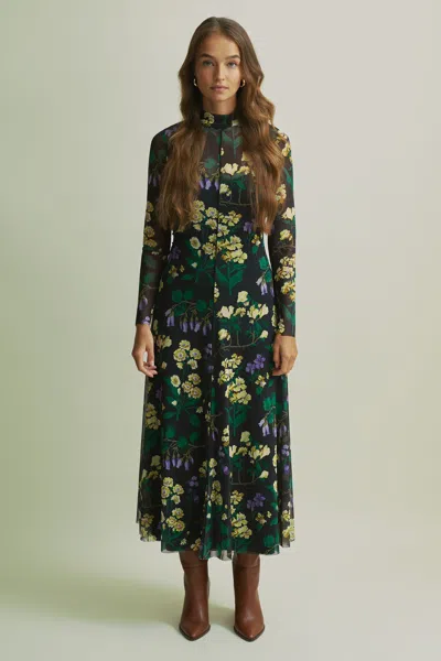 Florere Fit-and-flare Mesh Midi Dress In Multi