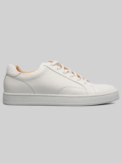 Florsheim Monopoli Lace-to-toe Sneakers In White