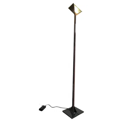Pre-owned Flos Neon Papillona Floor Lamp By Tobia & Afra Scarpa For , 1970s In Black