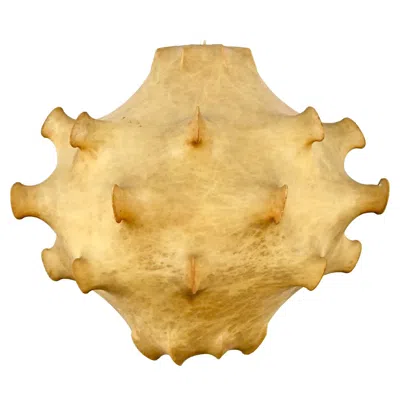 Pre-owned Flos Taraxacum Hanging Lamp By Achille & Pier Giacomo Castiglioni For , 1960s In Orange