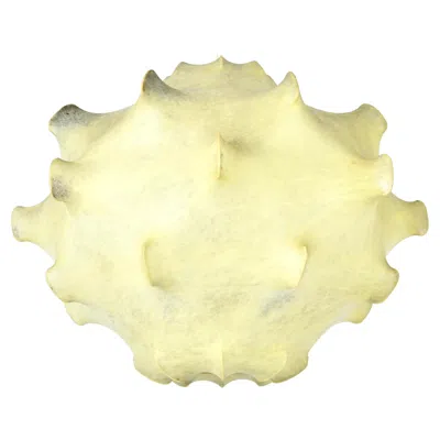 Pre-owned Flos Taraxacum Hanging Lamp By Achille & Pier Giacomo Castiglioni For , 1960s In Transparent
