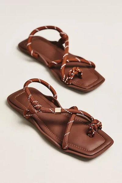 Flowze Flo Square Sandals In Brown