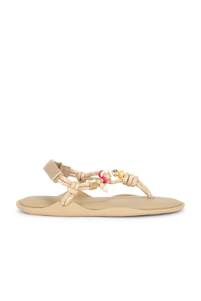 Flowze X Collanine Colorate Flo Sandal In Brown