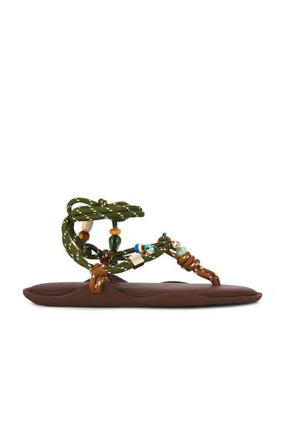 Flowze X Collanine Colorate Flo Twin Sandal In Brown & Military Green