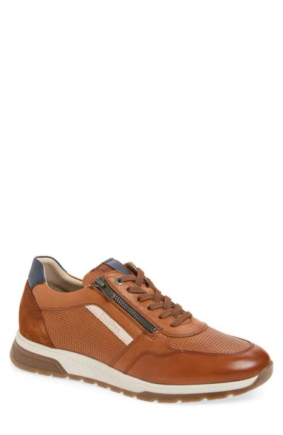 Fluchos Louis Sneaker In Brown