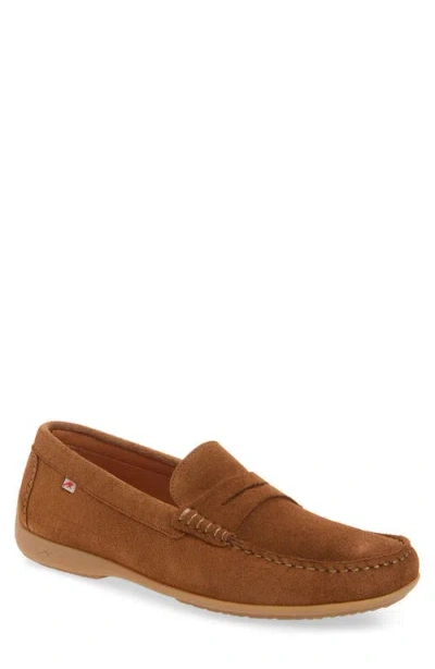 Fluchos Samoa Penny Loafer In Brown