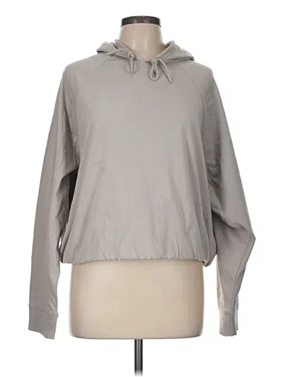 Pre-owned Flx Sweatshirt In Gray