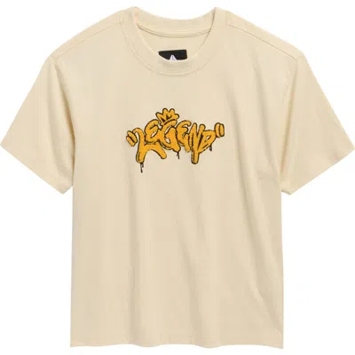 Fly By Night Kids' Fierro Graphic T-shirt In Multi