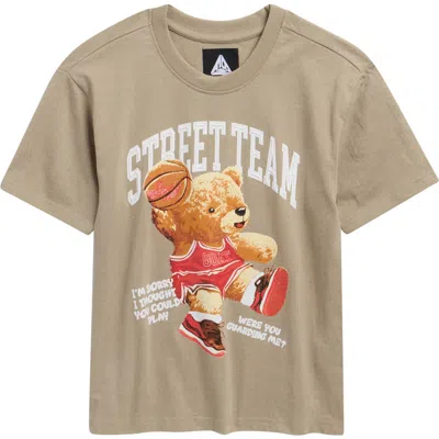 Fly By Night Kids' Polar Graphic T-shirt In Brown