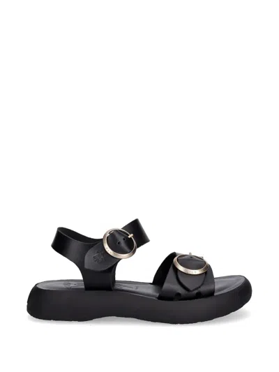 Fly London Buckle-fastening Leather Sandals In Black