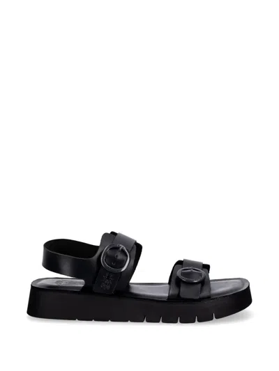 Fly London Buckle-fastening Leather Sandals In Black