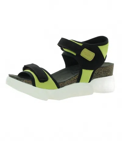 Fly London Women's Sigo Sandal In Pistachio In Multi
