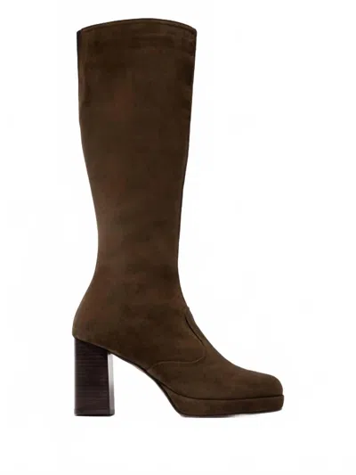 Fly London Women's Zip Up Boots In Aspen In Brown