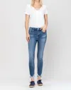 Flying Monkey 90's Britany High Rise Skinny Jean In Denim In Multi