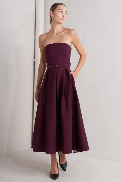 Flying Tomato Fd1646 In Purple