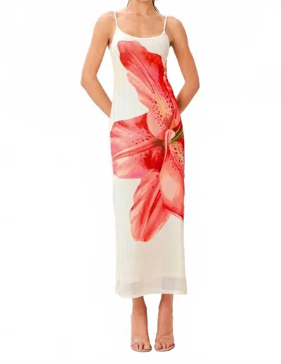 Flying Tomato Flower Mesh Cami Midi Dress In White Multi