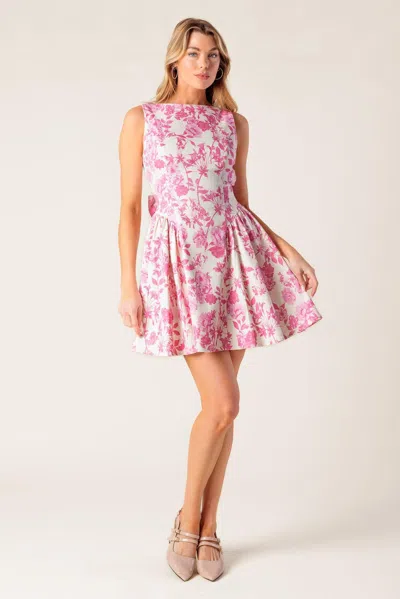 Flying Tomato Id22379 In Pink