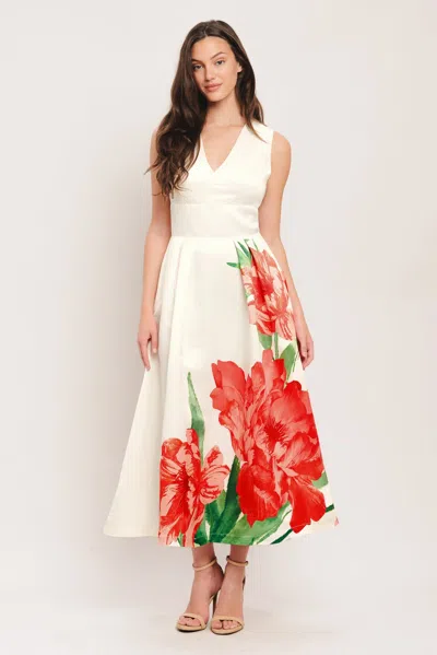 Flying Tomato Id23185 In White
