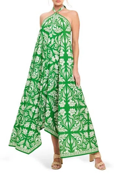 Flying Tomato Print Maxi Dress In Green