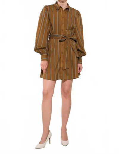 Flying Tomato Women's Morgan Stripe Dress In Brown Multi