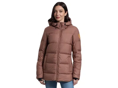 Flylow Truckee Down Parka In Brown