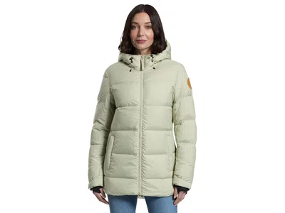 Flylow Truckee Down Parka In Gray