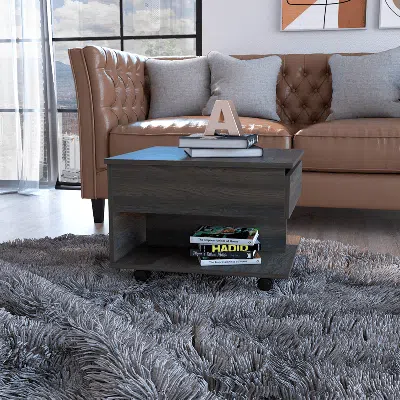 Fm Furniture Portland Lift Top Coffee Table In Gray