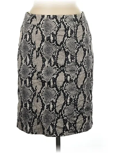 Pre-owned Focus 2000 Casual Skirt In Gray