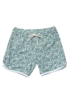 Folpetto Boys Swim Shorts In Sage Green In Green
