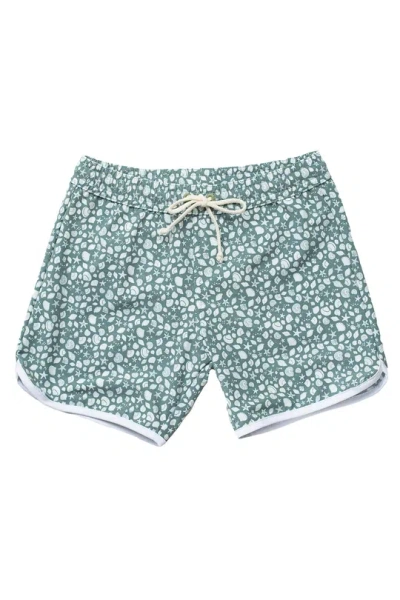 Folpetto Boys Swim Shorts In Sage Green