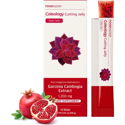 Foodology Coleology Cutting Jelly 10 Sticks
