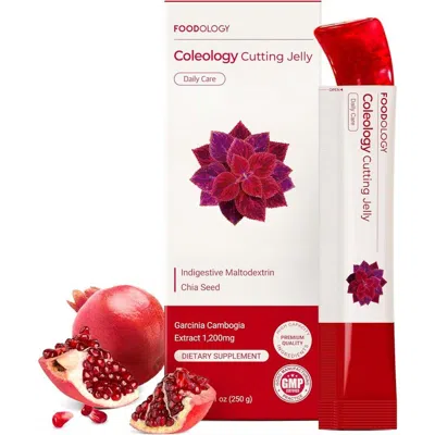 Foodology Coleology Cutting Jelly 15 Pcs Health & Wellness 8809567706163 In Multi